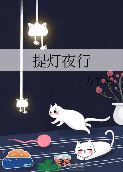 提灯夜行录 小说