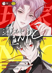 通关不如通NPC小说
