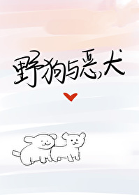 野狗与恶犬小说TXT下载