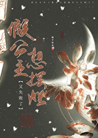 假公主电视剧