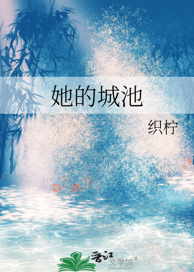他的城池txt