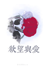 区分爱和欲望