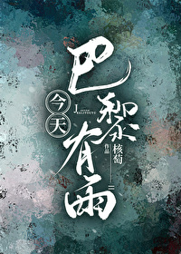 今天巴黎有雨小说