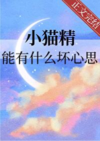 小猫的精力