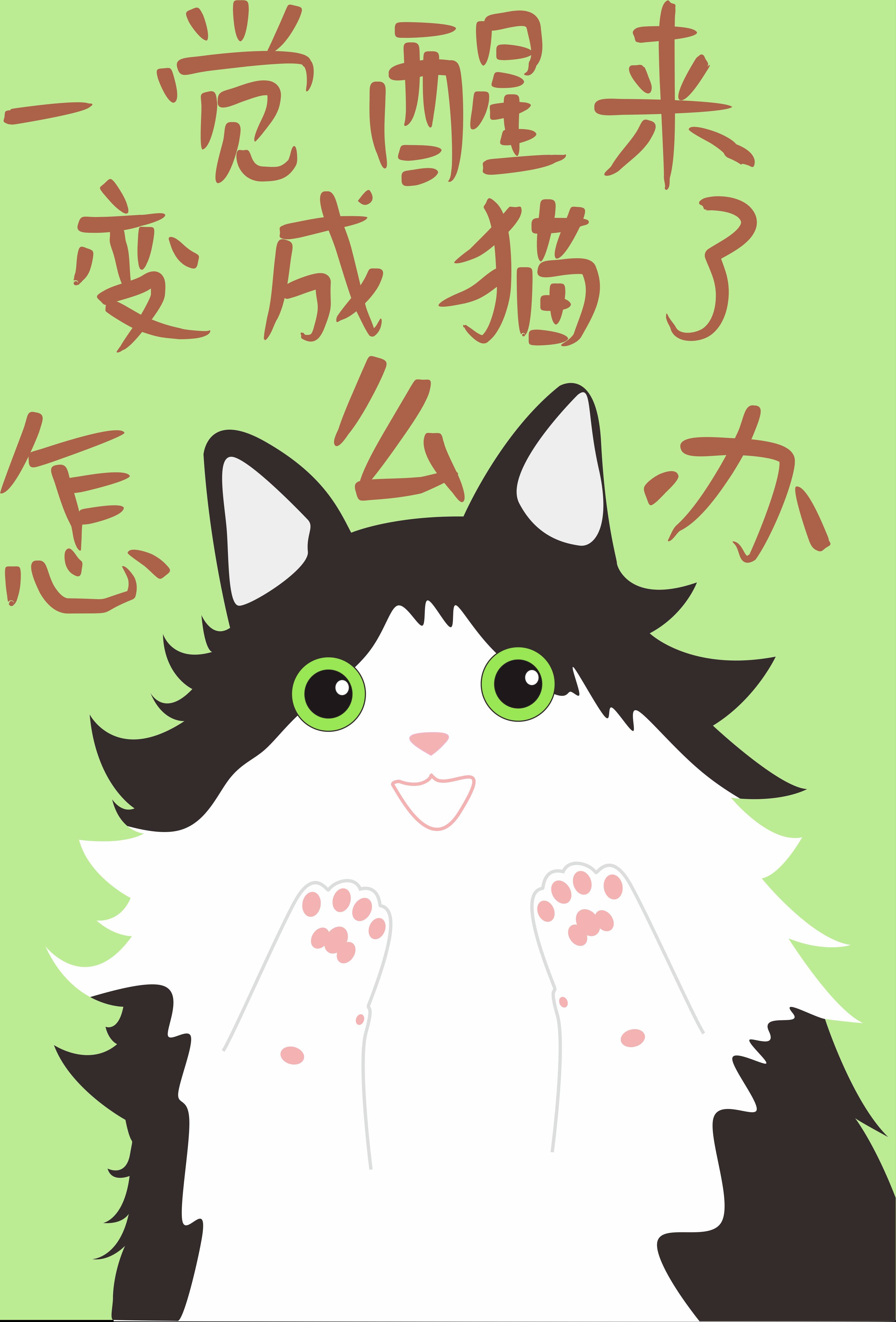 一觉醒来变成猫了怎么办呢
