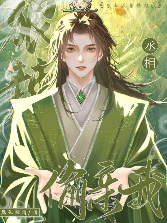 丞相小说