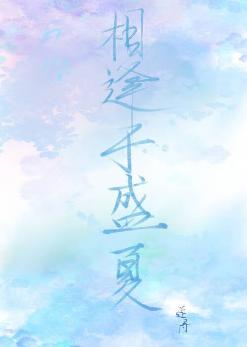 与你相遇小说