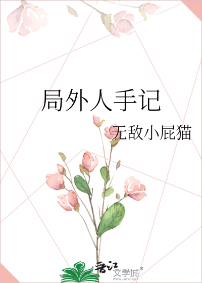 局外人小说简介
