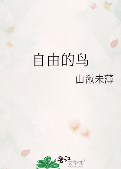 自由的鸟小说