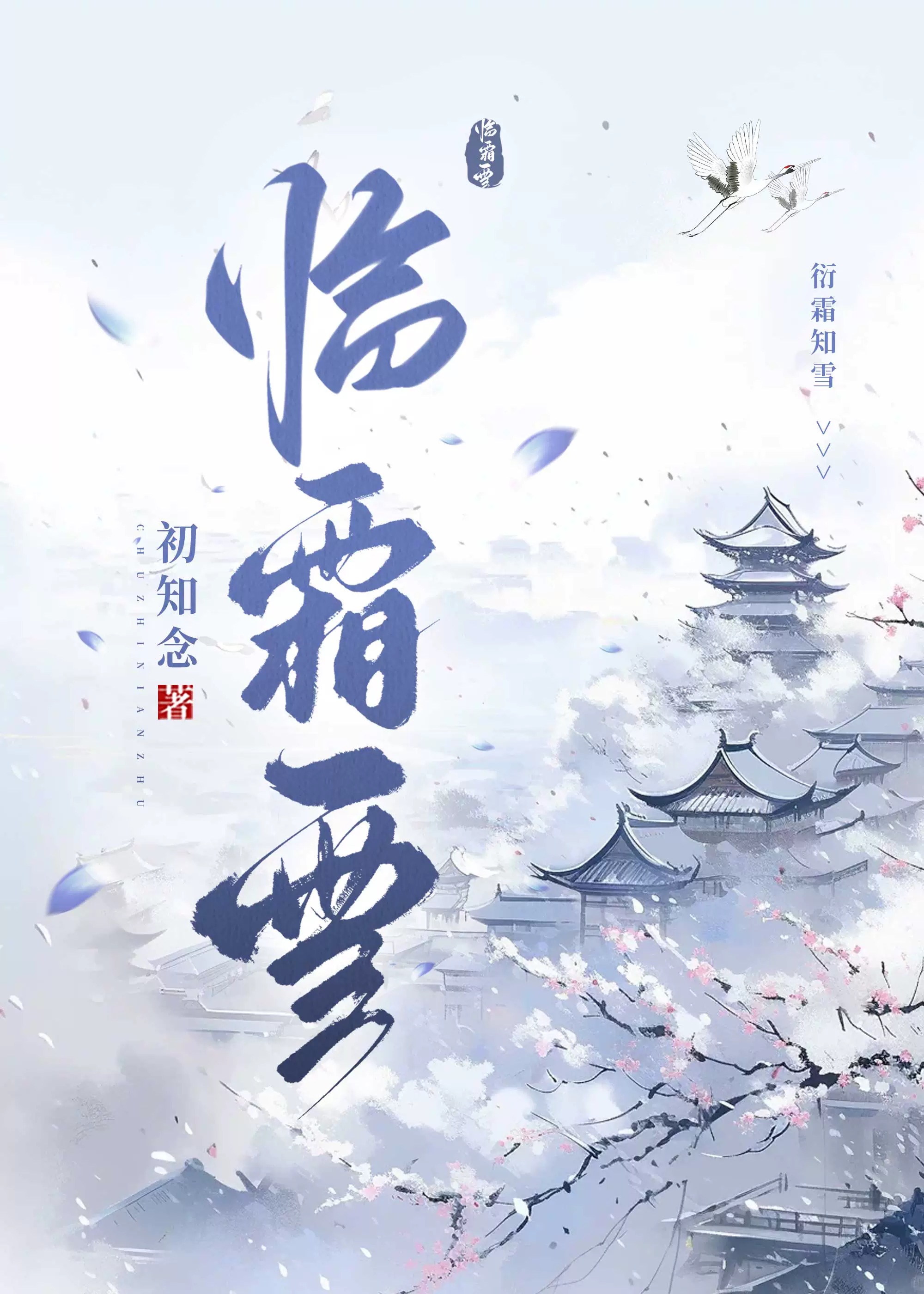 穿成哑巴大夫的极品妻网盘