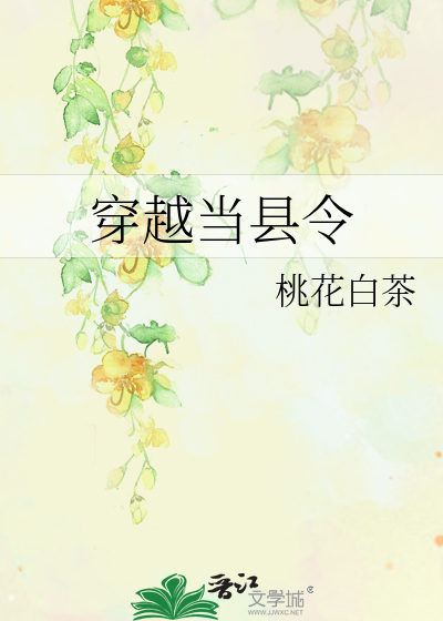 穿越当县令小说