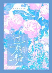过期糖txt 百度网盘