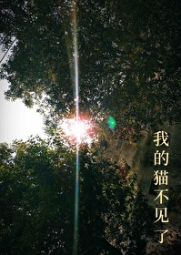 我的猫不见了作文