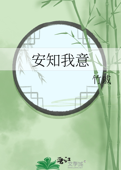 安知我意 北南讲什么