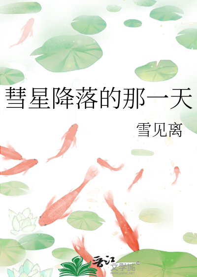 彗星什么时候降落