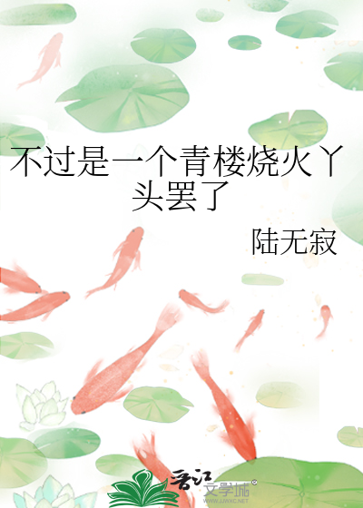韩娱论我在韩国出道的那些年