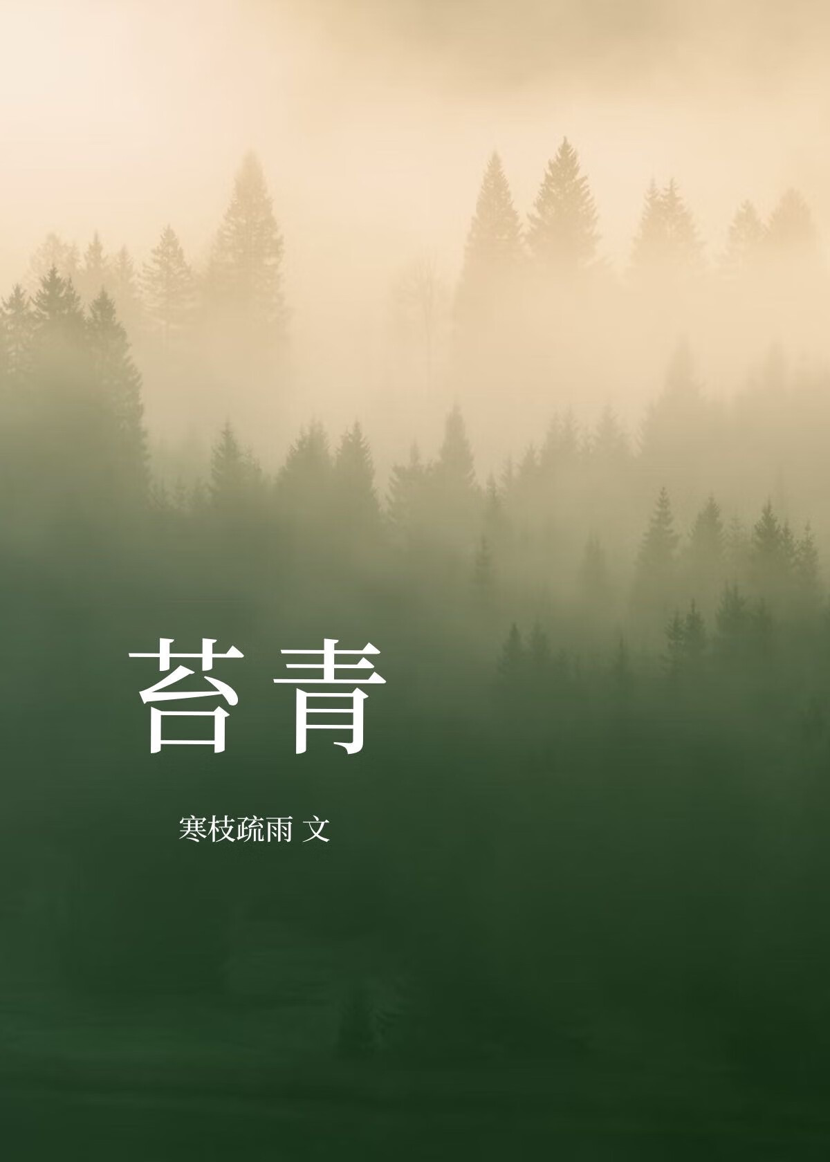 七零恶婆婆重生后她成了团宠[穿书]