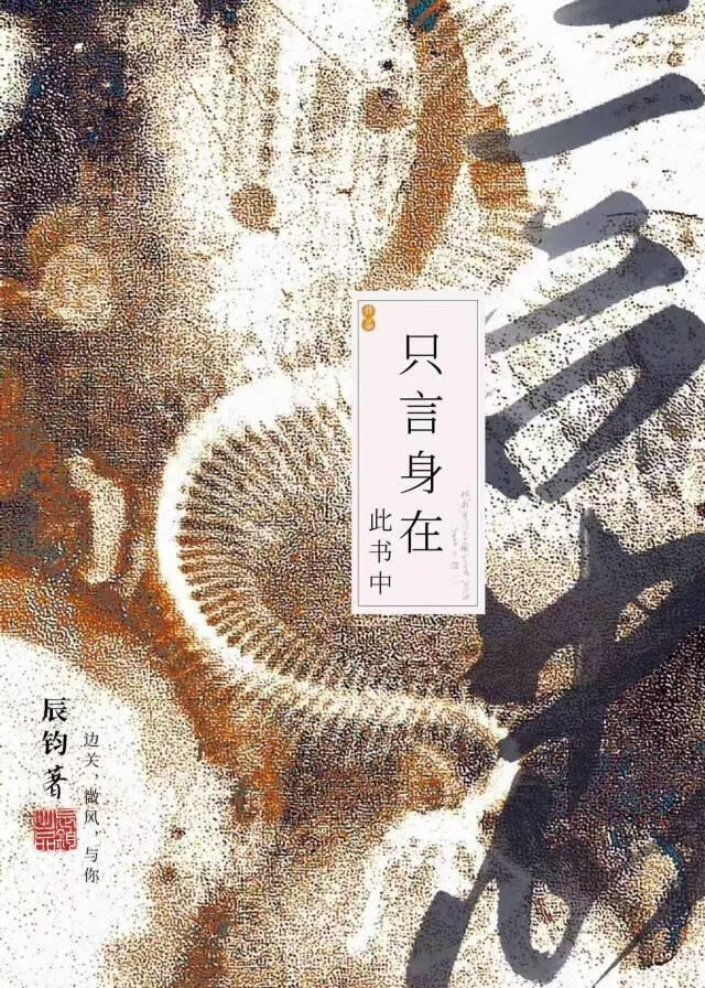 盛夏向日葵的种植时间和方法视频