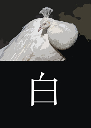 穿到七零极品家庭