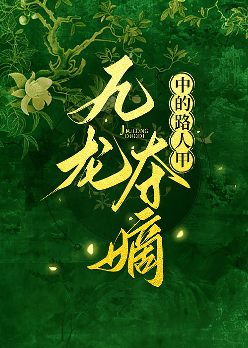 穿越清朝九龙夺嫡的小说